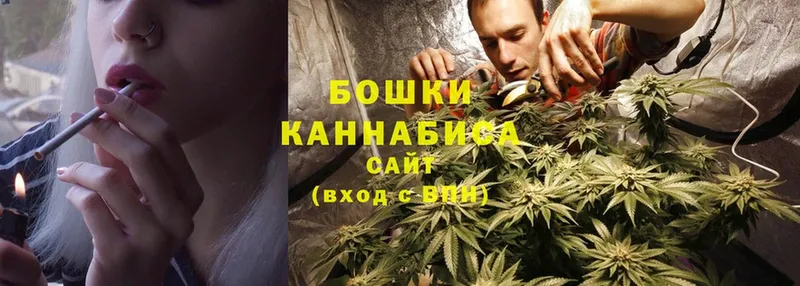 купить наркотики цена  Старая Русса  Шишки марихуана OG Kush 